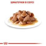 Вологий корм для дорослих котів ROYAL CANIN INSTINCTIVE IN GRAVY 0.085 кг - Зображення 2