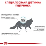 Корм для дорослих котів ROYAL CANIN ANALLERGENIC CAT 2.0 кг - Зображення 4