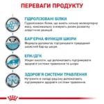 Корм для дорослих котів ROYAL CANIN HYPOALLERGENIC CAT  - Зображення 4