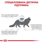 Корм для дорослих котів ROYAL CANIN SKIN&COAT CAT - Зображення 2