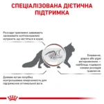 Корм для дорослих котів ROYAL CANIN GASTRO INTESTINAL MODERATE CALORIE CAT - Зображення 5