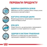 Вологий корм для дорослих котів ROYAL CANIN SENSITIVITY CONTROL CHICKEN CAT Pouches  0.085 кг - Зображення 3