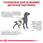Корм для дорослих собак ROYAL CANIN URINARY S/O DOG - Зображення 2