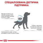 Корм для дорослих собак ROYAL CANIN ANALLERGENIC DOG - Зображення 2