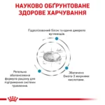 Корм для собак ROYAL CANIN HYPOALLERGENIC DOG - Зображення 8