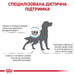 Корм для дорослих собак ROYAL CANIN SKIN CARE ADULT DOG - Зображення 2