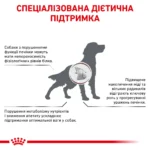 Корм для дорослих собак ROYAL CANIN HEPATIC CANINE - Зображення 8