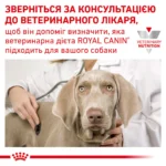 Вологий корм для дорослих собак ROYAL CANIN DIABETIC SPECIAL LC DOG Cans 0.41 кг - Зображення 2