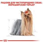 Корм для дорослих собак породи Йоркширський-тер'єр ROYAL CANIN YORKSHIRE ADULT - Зображення 7