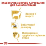 Корм для дорослих собак породи Йоркширський-тер'єр ROYAL CANIN YORKSHIRE ADULT - Зображення 5