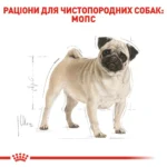 Корм для дорослих собак породи Мопс ROYAL CANIN PUG ADULT - Зображення 7
