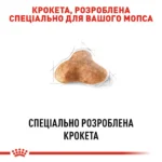Корм для дорослих собак породи Мопс ROYAL CANIN PUG ADULT - Зображення 6