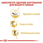 Корм для дорослих собак породи Мопс ROYAL CANIN PUG ADULT - Зображення 5