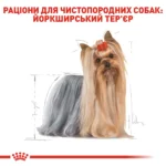 Вологий корм для дорослих собак Йоркшир-тер'єр ROYAL CANIN YORKSHIRE ADULT 0.085 кг - Зображення 7