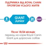 Корм для молодих собак гігантських порід ROYAL CANIN GIANT JUNIOR (джуніор) 15.0 кг - Зображення 4