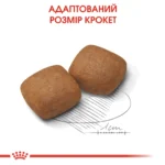 Корм для молодих собак гігантських порід ROYAL CANIN GIANT JUNIOR (джуніор) 15.0 кг - Зображення 6