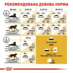 Корм для дорослих котів породи Мейн-Кун ROYAL CANIN MAINECOON ADULT - Зображення 2