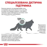Корм для дорослих котів ROYAL CANIN DIABETIC CAT - Зображення 5