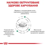 Корм для дорослих котів ROYAL CANIN DIABETIC CAT - Зображення 4