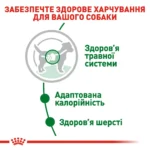 Вологий корм для дорослих собак ROYAL CANIN MINI ADULT IN GRAVY 0.085 кг - Зображення 6