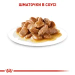 Вологий корм для дорослих собак ROYAL CANIN MINI ADULT IN GRAVY 0.085 кг - Зображення 5