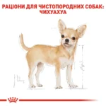 Вологий корм для дорослих собак ROYAL CANIN CHIHUAHUA ADULT 0.085 кг - Зображення 7