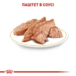Вологий корм для дорослих собак ROYAL CANIN CHIHUAHUA ADULT 0.085 кг - Зображення 6