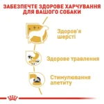 Вологий корм для дорослих собак ROYAL CANIN CHIHUAHUA ADULT 0.085 кг - Зображення 4