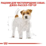 Корм для дорослих собак ROYAL CANIN JACK RUSSEL ADULT - Зображення 7