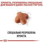 Корм для дорослих собак ROYAL CANIN JACK RUSSEL ADULT - Зображення 6