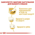 Сухий корм для дорослих собак породи Джек-Рассел-тер'єр ROYAL CANIN JACK RUSSEL ADULT - Зображення 4