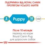 Корм для цуценят породи Мопс ROYAL CANIN PUG PUPPY 1.5 кг - Зображення 4