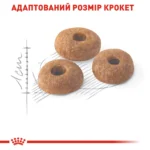 Корм для домашніх і вуличних котів ROYAL CANIN FIT - Зображення 3