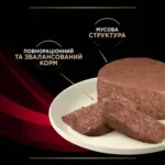 PRO PLAN® DM Diabetes Management. Ветеринарна дієта для дорослих котів для регулювання надходження глюкози (цукровий діабет). - Зображення 4