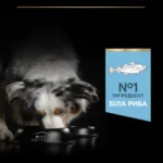 PURINA® PRO PLAN®. Сухий повнораціонний корм для дорослих собак усіх розмірів з надмірною масою тіла та/або стерилізованих. З білою рибою. - Зображення 7