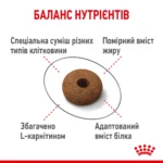 Корм для дорослих стерилізованих котів ROYAL CANIN APPETITE CONTROL CARE 2кг - Зображення 3