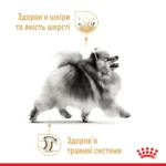 Сухий корм для дорослих собак породи Померанський шпіц ROYAL CANIN POMERANIAN ADUL - Зображення 6