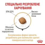 Сухий корм для дорослих собак породи Померанський шпіц ROYAL CANIN POMERANIAN ADUL - Зображення 5