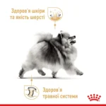 Вологий корм для собак породи Померанський шпіц ROYAL CANIN POMERANIAN ADULT паштет 85 г - Зображення 6