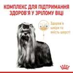 Корм для зрілих собак породи Йоркшир-тер'єр ROYAL CANIN YORKSHIRE TERRIER AGEING 8+(віком від 8 років) 1.5 кг - Зображення 5