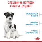 Cухий корм для новонароджених цуценят мініютюрних порід ROYAL CANIN MINI STARTER - Зображення 5