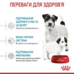 Cухий корм для новонароджених цуценят мініютюрних порід ROYAL CANIN MINI STARTER - Зображення 4