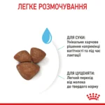 Cухий корм для новонароджених цуценят мініютюрних порід ROYAL CANIN MINI STARTER - Зображення 3
