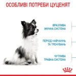 Корм для цуценят мініатюрних порід ROYAL CANIN XSMALL PUPPY - Зображення 5