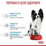 Корм для цуценят мініатюрних порід ROYAL CANIN XSMALL PUPPY - Зображення 4