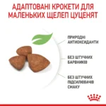 Корм для цуценят мініатюрних порід ROYAL CANIN XSMALL PUPPY - Зображення 3
