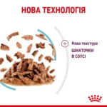 Вологий корм для дорослих котів ROYAL CANIN SENSORY FEEL GRAVY шматочки у соусі 85г, стимулює відчуття корму - Зображення 2