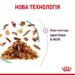 Вологий корм для дорослих котів ROYAL CANIN SENSORY FEEL JELLY шматочки у желе 85г, стимулює відчуття корму - Зображення 2