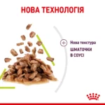 Вологий корм для дорослих котів ROYAL CANIN SENSORY SMELL GRAVY 0.085 кг, cтимулює нюхові рецептори - Зображення 2