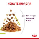 Вологий корм для дорослих котів ROYAL CANIN SENSORY SMELL JELLY 0.085 кг, стимулює нюхові рецептори - Зображення 2